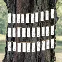 tableau escort card.webp