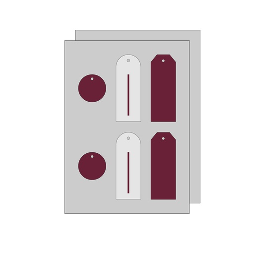 Tag - FF macchina - grafica fornita